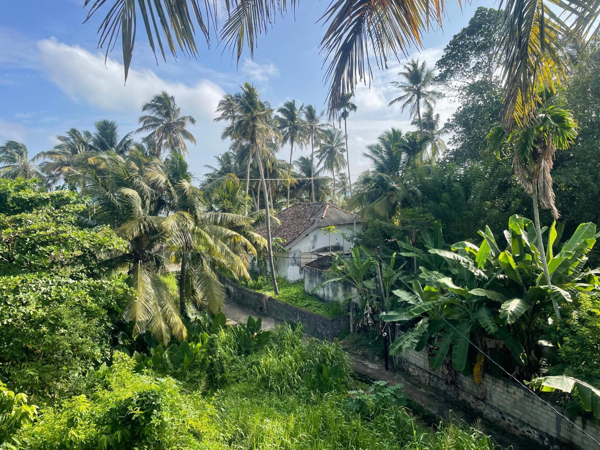 Serendipity Beach Унаватуна Екстер'єр фото