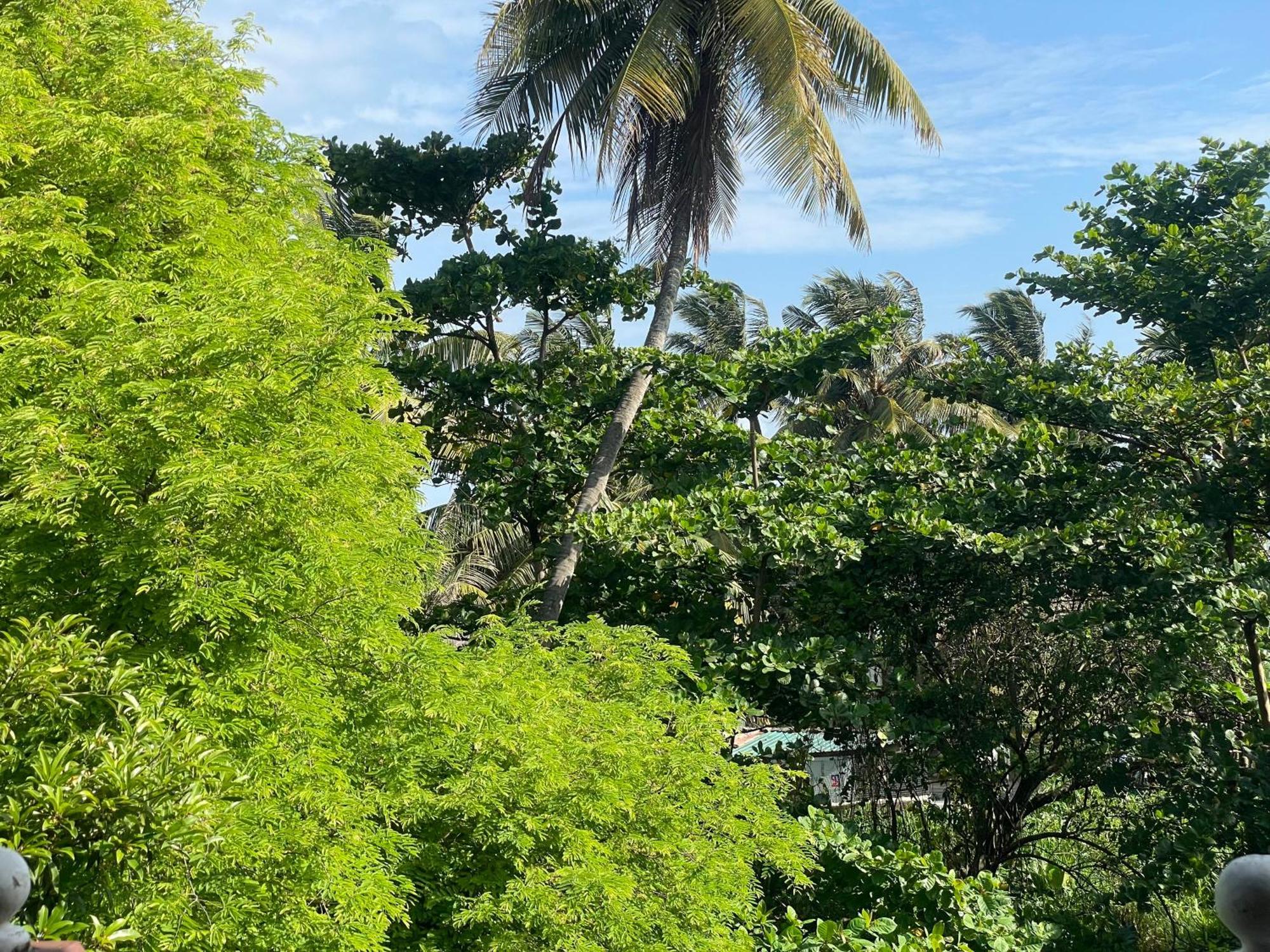 Serendipity Beach Унаватуна Екстер'єр фото